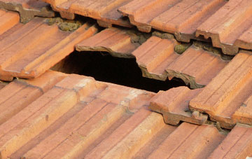 roof repair Broompark, County Durham